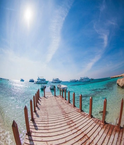 silverdolphintrip_02